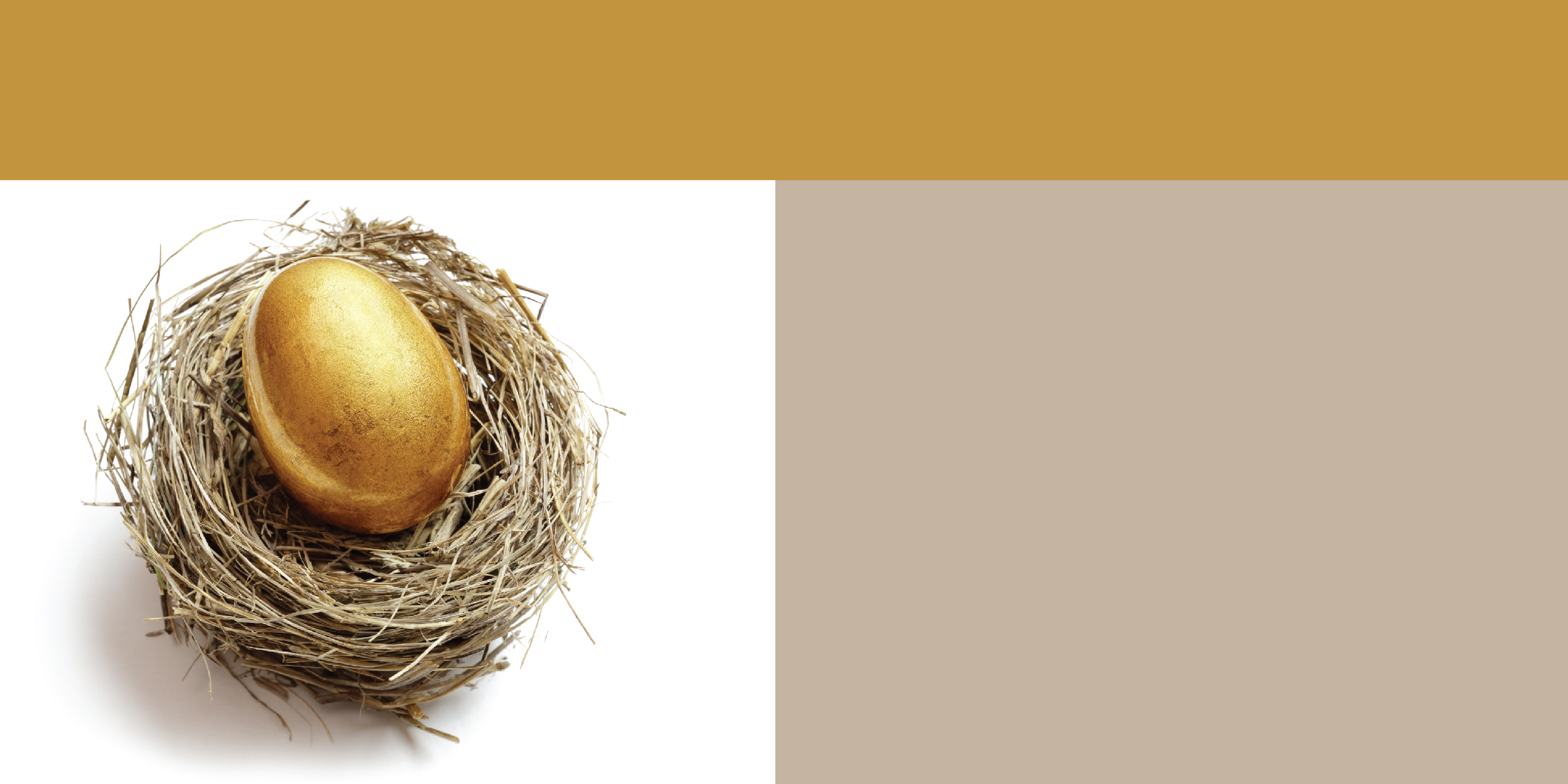 Banner image of a golden egg in a nest